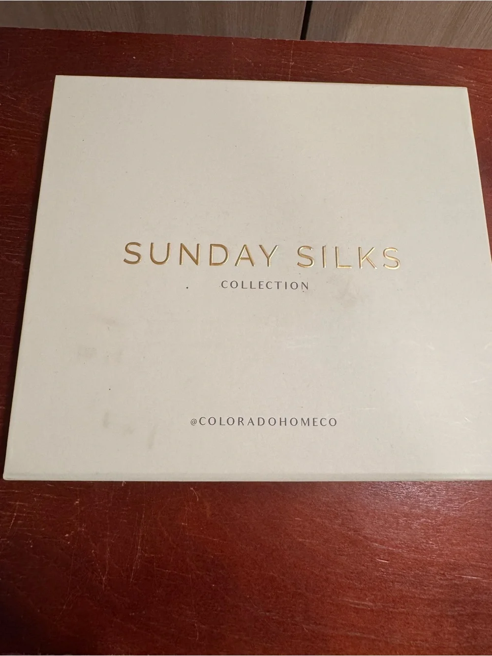 Sunday Silks 100% Mulberry silk King pillow cases NEW in Box